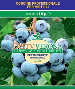 fertilizzante per piante di mirtillo